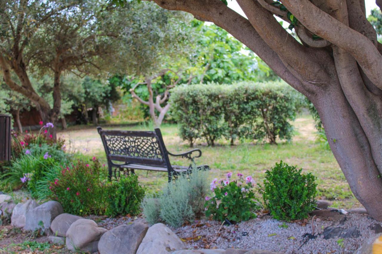 Villa La Casa Di Lina - Capo D'Orlando, Casa Con Ampio Giardino Extérieur photo